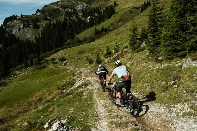 Two mountain bikers riding a singletrack trail through alpine meadow